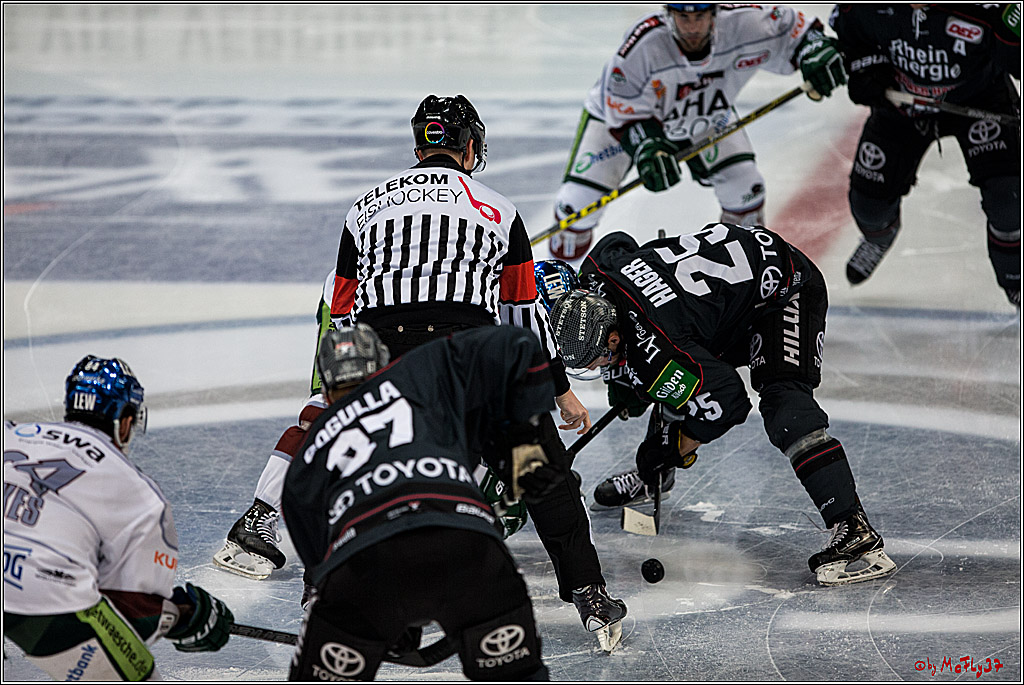 DEL, Koelner Haie - Augsburger Panther, 13.01.2017